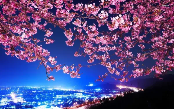عکس فصل بهار برای والپیپر گوشی