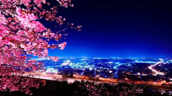عکس فصل بهار برای والپیپر گوشی