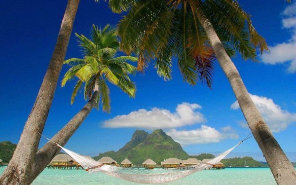 عکس فصل تابستان زیبا