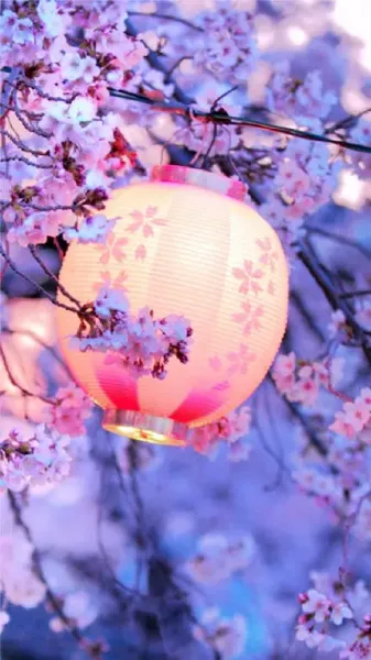  والپیپر شکوفه های صورتی بهاری برای گوشی آیفون