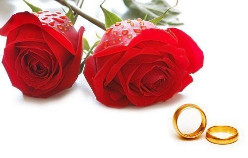  قشنگ ترین عکس دسته گل قرمز