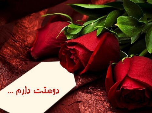  قشنگ ترین عکس دسته گل قرمز