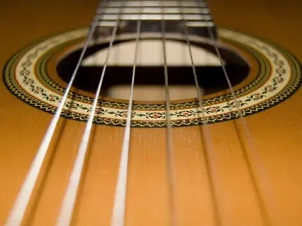  دانلود عکس گیتار