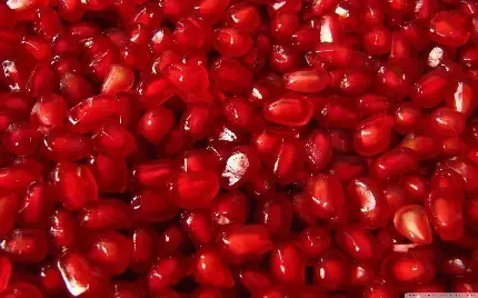  عکس پروفایل دانه های انار خوشرنگ