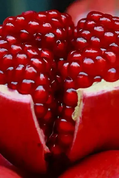  عکس پروفایل دانه های انار خوشرنگ