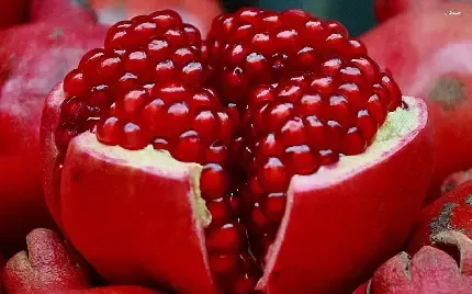  عکس پروفایل دانه های انار خوشرنگ