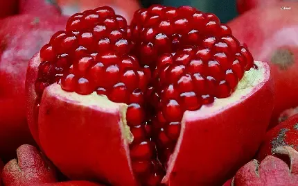  عکس انار قاچ شده برای بکگراند آیفون