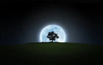  والپیپر جنگل تاریک برای گوشی آیفون