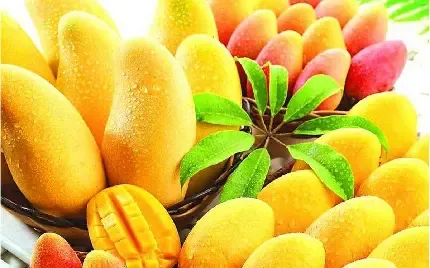 عکس میوه انبه خوشمزه با کیفیت عالی