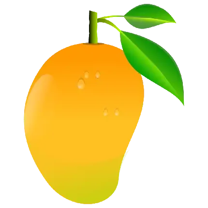  عکس میوه انبه خوشمزه با کیفیت عالی