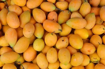  عکس انواع انبه برای پروفایل