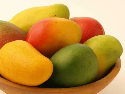  عکس انواع انبه برای پروفایل