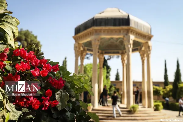  عکس حافظ