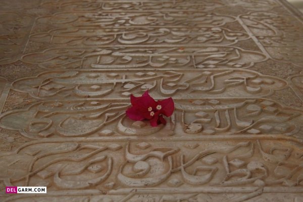  عکس حافظیه برای استوری