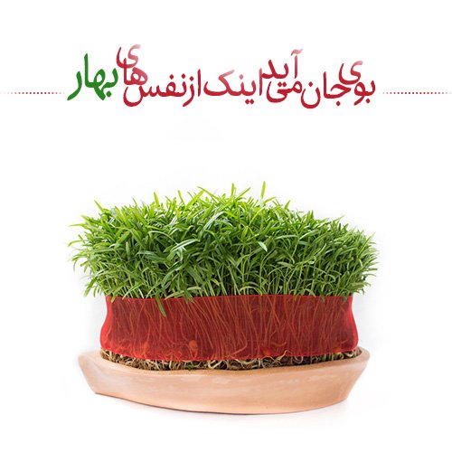  عکس عید نوروز برای استوری