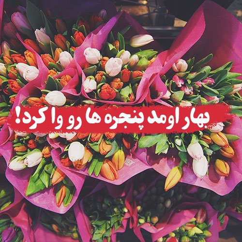  عکس عید نوروز برای استوری