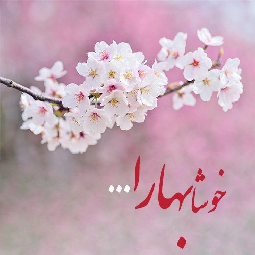  عکس عید نوروز برای استوری
