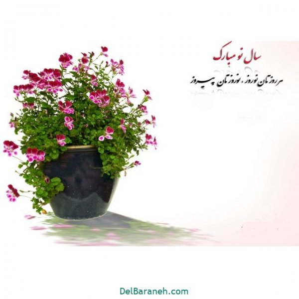  عکس پروفایل سال نو