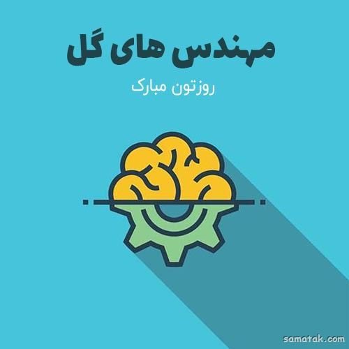  عکس مهندس زن