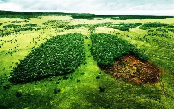  عکس نوشته روز جهانی بیابان زدایی برای استوری