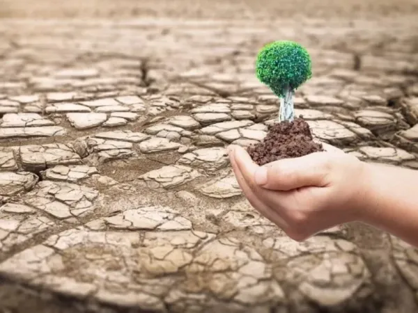  عکس های روز جهانی بیابان زدایی جدید