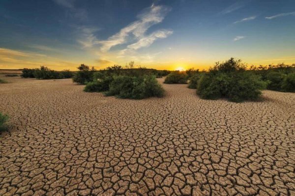  عکس های روز جهانی بیابان زدایی جدید