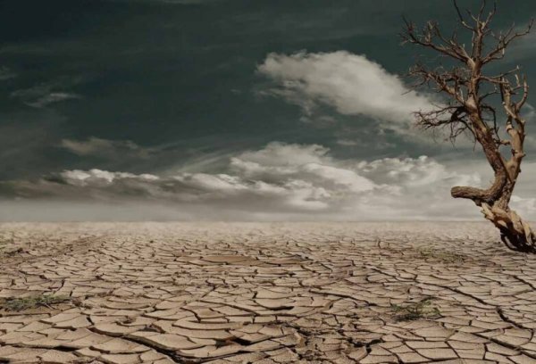  عکس های روز جهانی بیابان زدایی جدید