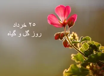  عکس پروفایل روز ملی گل و گیاه با کیفیت بالا