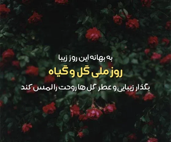  عکس پروفایل روز ملی گل و گیاه با کیفیت بالا