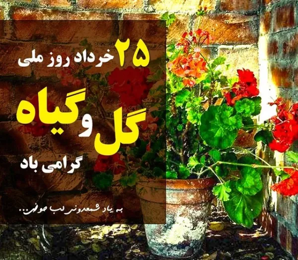  عکس روز جهانی گل و گیاه برای استوری