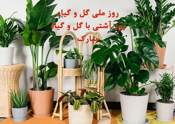  عکس روز جهانی گل و گیاه برای استوری