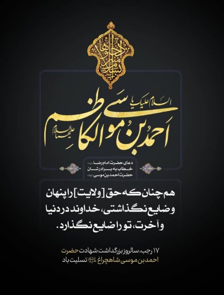  عکس بزرگداشت حضرت شاهچراغ استوری