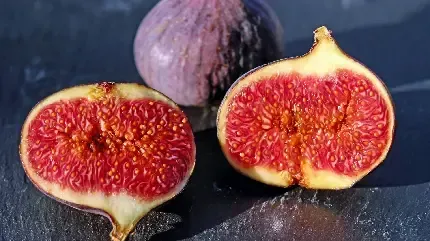  عکس انجیر سیاه تازه با کیفیت بالا