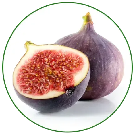  عکس انجیر سیاه تازه با کیفیت بالا