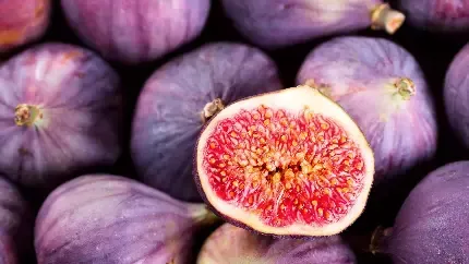  عکس انجیر سیاه تازه با کیفیت بالا