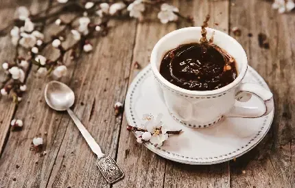  عکس آیس کافی برای استوری