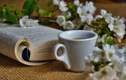  عکس آیس کافی برای استوری