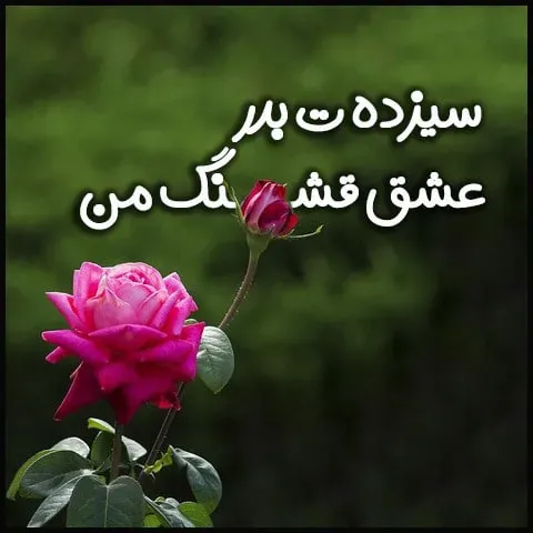  عکس روز طبیعت برای پروفایل