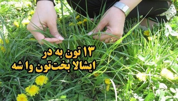  عکس روز طبیعت برای پروفایل