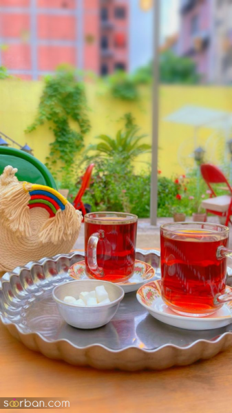  عکس 13 بدر برای استوری