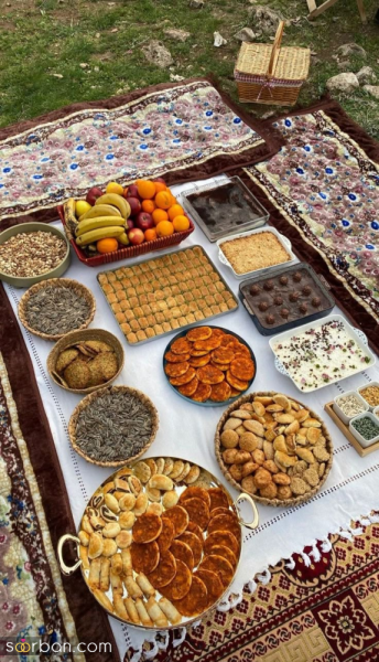  عکس 13 بدر برای استوری