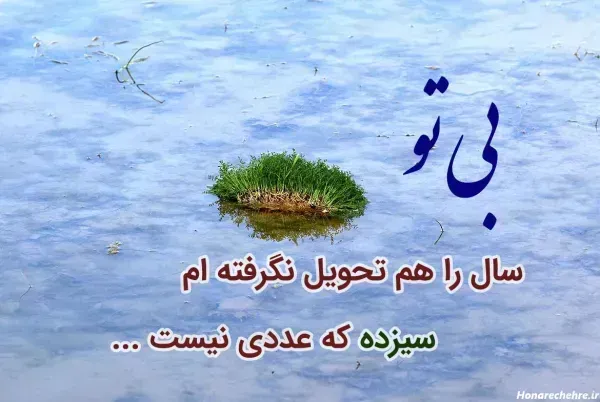  عکس 13 بدر برای استوری