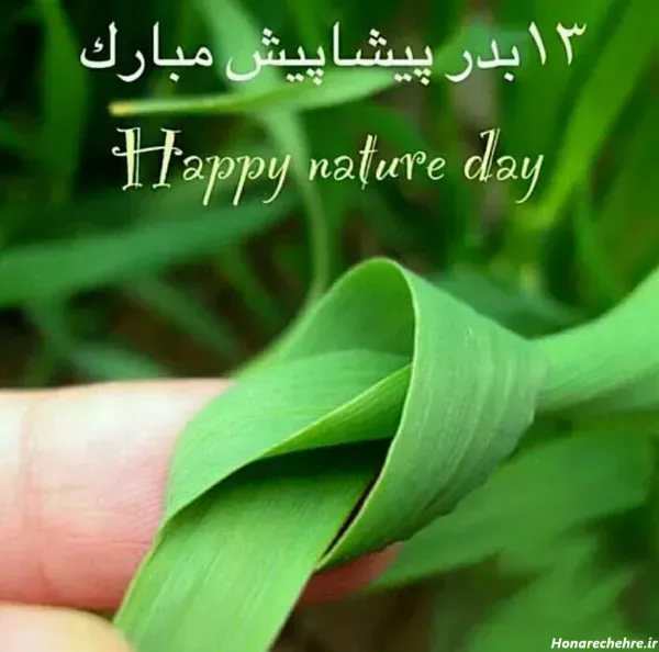  عکس 13 بدر برای استوری