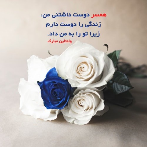  پروفایل ولنتاین 2026