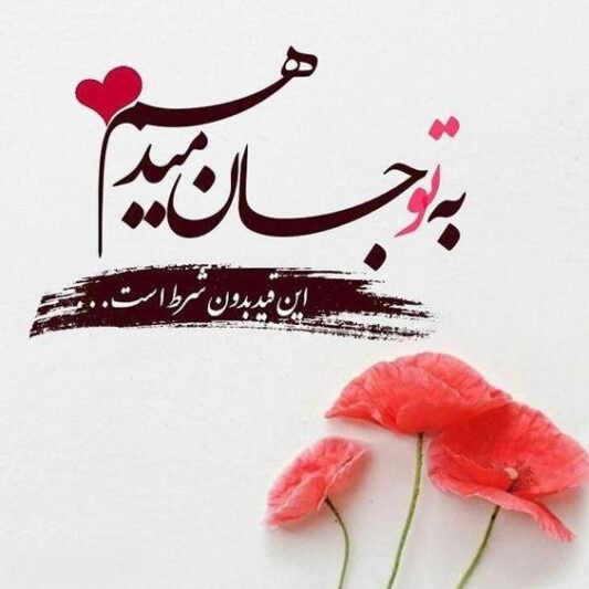  پروفایل ولنتاین 2026