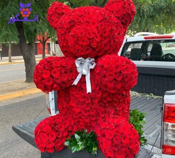  عکس خرس ولنتاین بزرگ