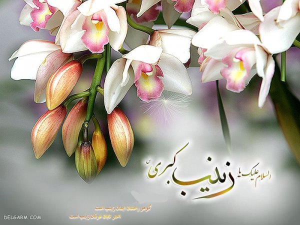 عکس پروفایل حضرت زینب ولادت