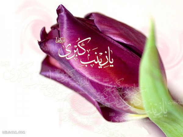  عکس پروفایل حضرت زینب ولادت