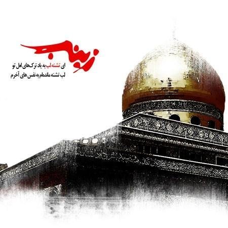  پروفایل حضرت زینب در عاشورا