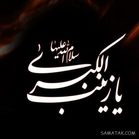  پروفایل حضرت زینب در عاشورا